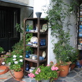 SAMOS-2005 (168)